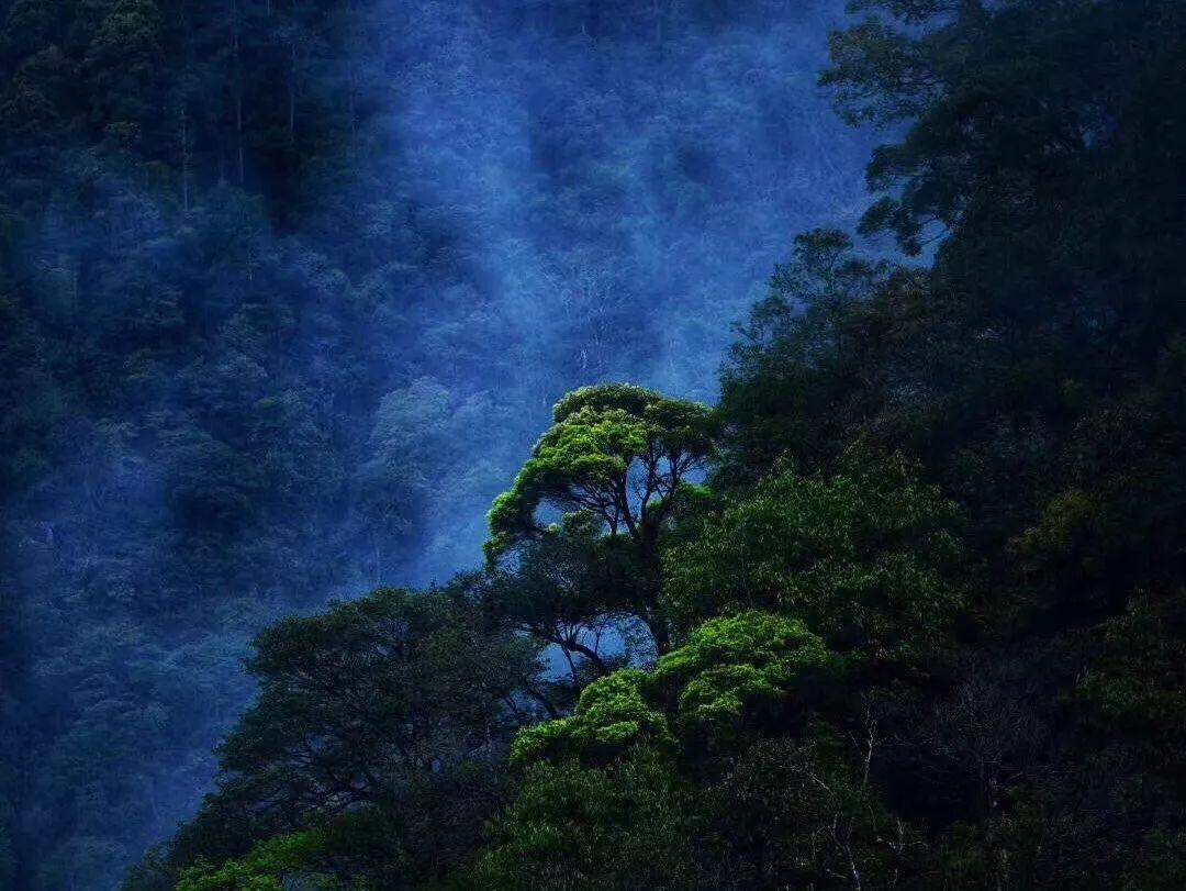古广场逃生